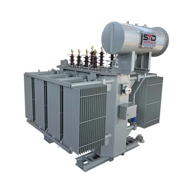 What You Need to Know about Oil-immersed Transformer